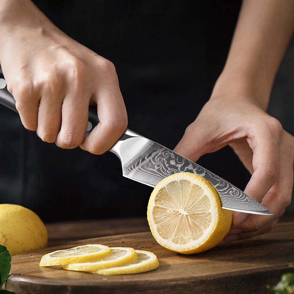 Paring Knife 90mm – 67-Layer Damascus Steel, for Fruit, Peeling & Precision Tasks