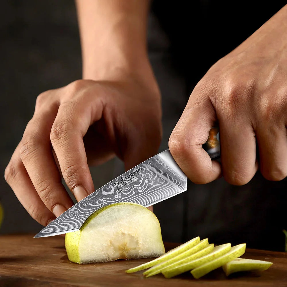 Paring Knife 90mm – 67-Layer Damascus Steel, Precision Fruit & Vegetable Knife