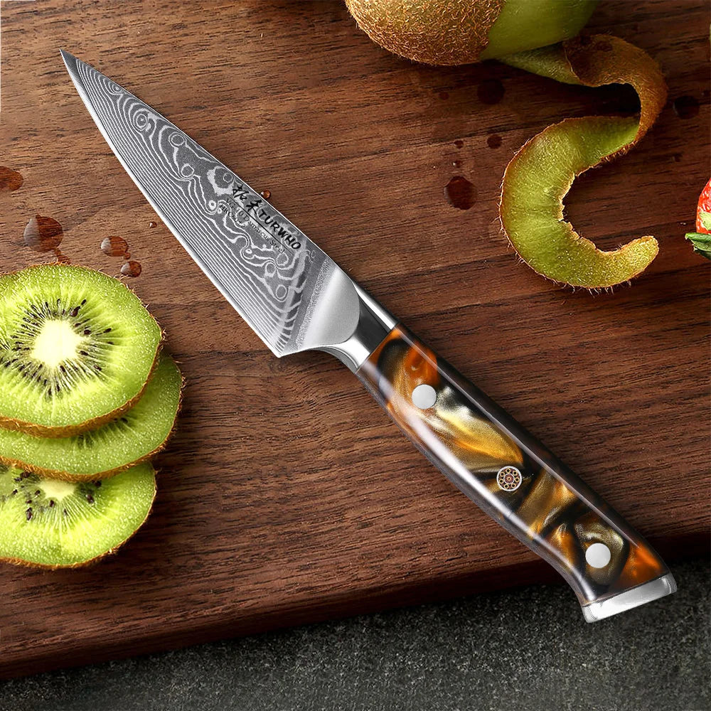 Paring Knife 90mm – 67-Layer Damascus Steel, Precision Fruit & Vegetable Knife
